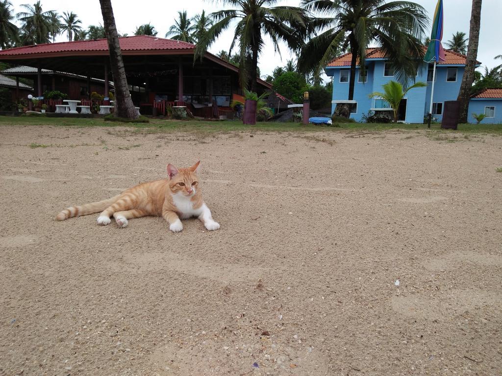 Happy Days Resort Koh Mak Extérieur photo
