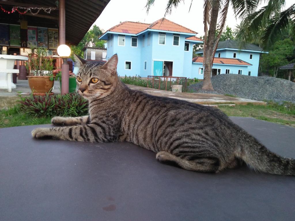 Happy Days Resort Koh Mak Extérieur photo